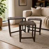 Mesa de centro ambiente Ref. 61-1012