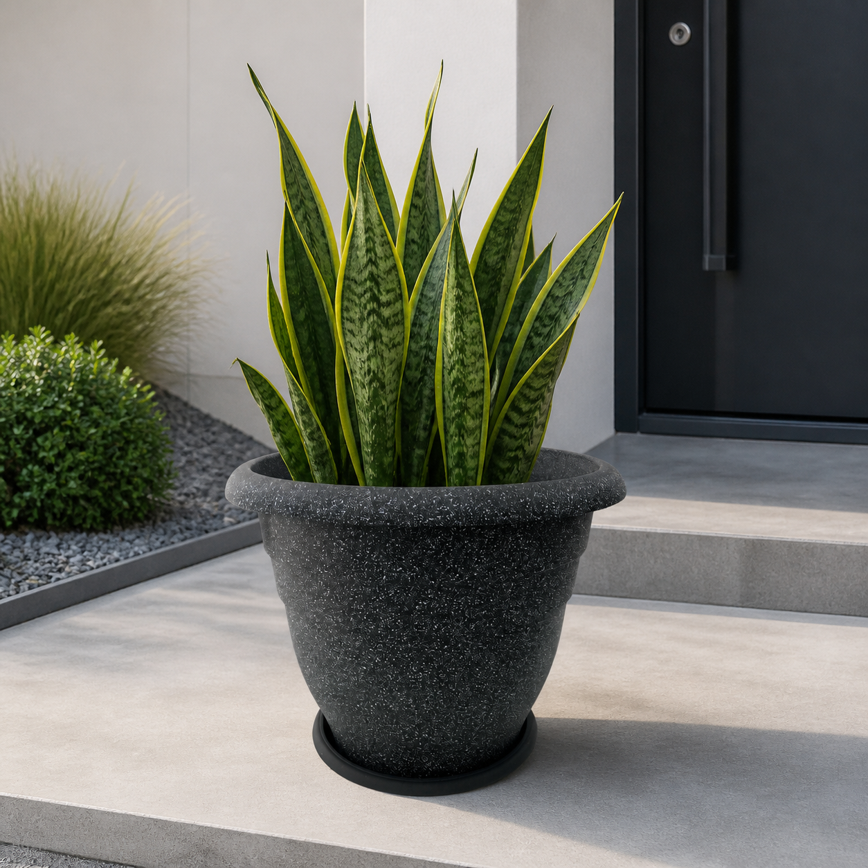 Macetero gris stone 40x31 cm con sansevieria en entrada