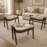Mesa de centro ambiente Ref. 61-1028