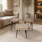 Mesa de centro ambiente Ref. 61-1048
