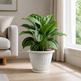 Macetero blanco 38.5x31 cm con planta en sala